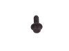 OEM EGR Pipe Securing Bolt - 1316028