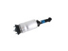 Dunlop Range Rover Sport Front Air Suspension Strut - LR016415