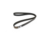 Dayco 3.0 I6 AJ20D6 Auxiliary Belt - LR141491