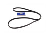 Britpart 4.4 Tdv8 Diesel Auxiliary Belt - LR036090