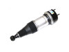 Bilstein XJ Complete Rear Air Suspension Strut - C2C41346