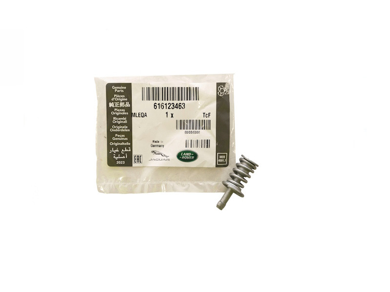 Genuine Rear Hand Brake Shoe Hold Down Pin and Spring for Range Rover L322 - 616123463