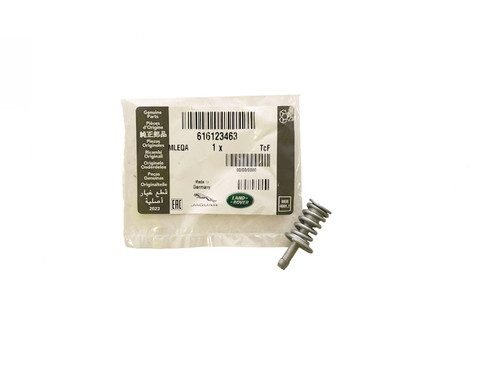 Genuine Rear Hand Brake Shoe Hold Down Pin and Spring for Range Rover L322 - 616123463