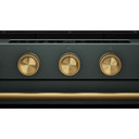Brass Handle and Knob Hardware Accessory Kit for KitchenAid® Slide-In Convection Gas Range W11773968