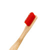 Angelus Detail Cleaning Brush | 2-Pack - Soft & Hard Bristles