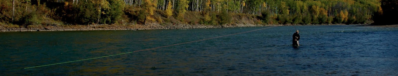 Lines / Leaders / Tippets