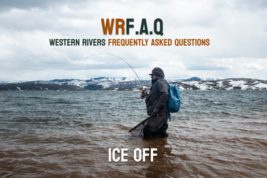 [WR]FAQ - Fishing Ice Off