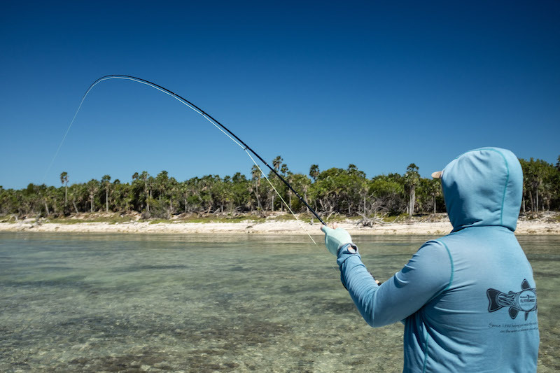 Fly fisherman hooked to a bonefish while fly fishing in Cuba