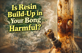 Is Resin Build-Up in Your Bong Harmful?
