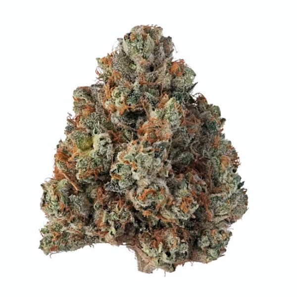 Khalifa Kush cannabis strain