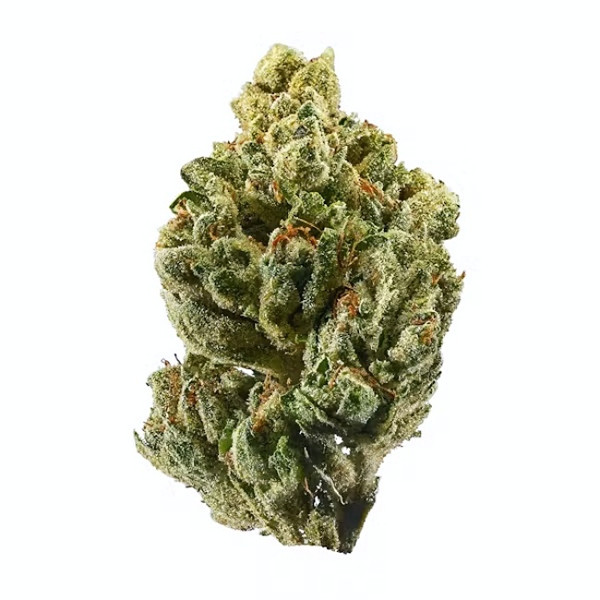 OG Kush cannabis strain