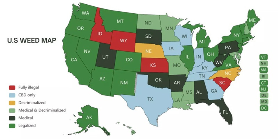 Cannabis legalization statuses in all 50 U.S. states as of January 2025