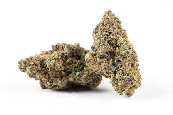 Nuggets of Chocolato cannabis strain