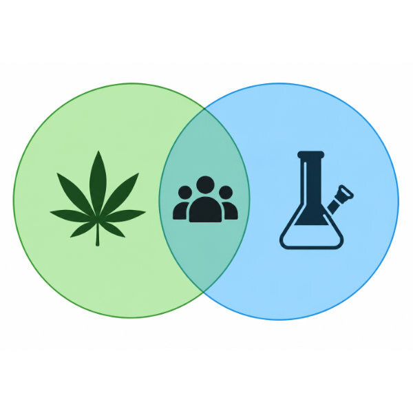venn diagram of dispensary and head shop customers