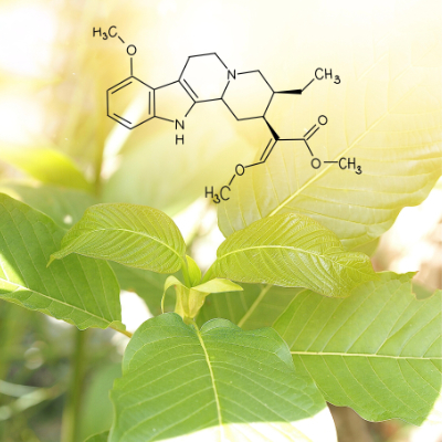 Diagram-style placeholder representing kratom leaf alkaloid chemistry
