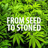 From Seed To Stoned YouTube channel thumbnail