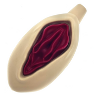 Silicone Vagina Hand Pipe, 1 Piece Assorted Species