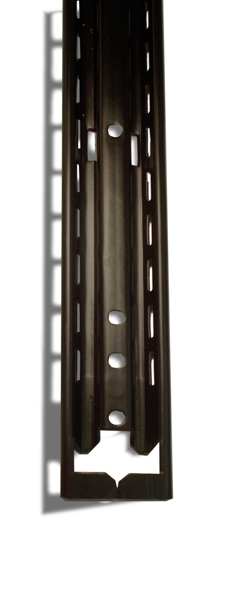 Ao2 Complex Shells Dark Tone 34