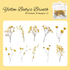 Botanical Loose PET Stickers Set - pack 20, baby's breath stickers