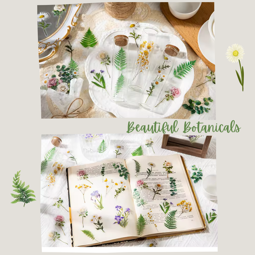 Botanical Loose PET Stickers Set - pack 20, baby's breath stickers