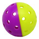 GAMMA Two-Tone Outdoor Training Pickleballs