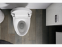 Veil™ Comfort Height™One-piece compact elongated intelligent toilet, dual flush