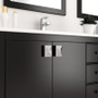 Petunia 60 Inch Black Super White Quartz Vanity