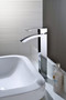 Royal Fall Tall Single Handle Faucet Brushed Nickel