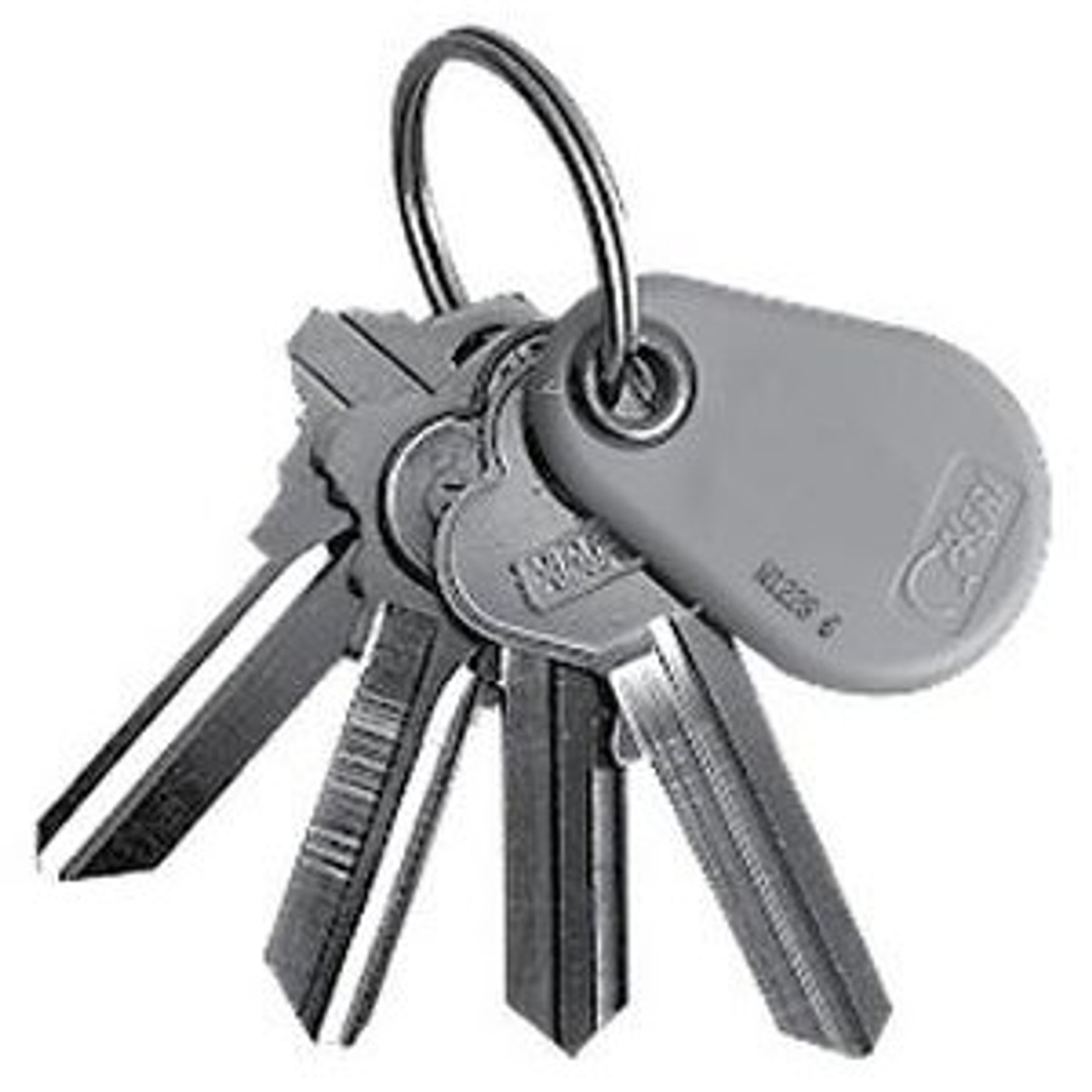 PSK-3-H HID Compatible Proximity Key Ring Tag