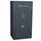Hollon Safe- RG-22 Hollon Safe- RG-22