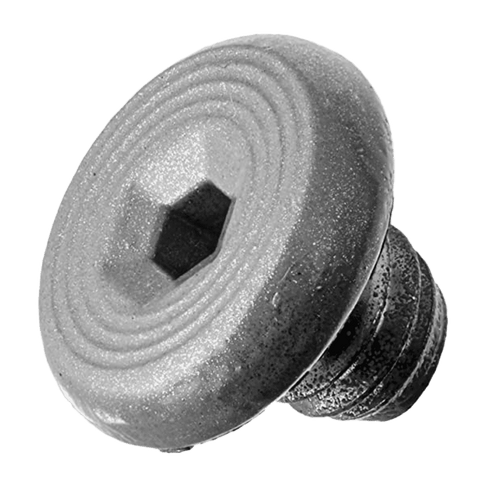 LCN 4040XP-31 689 Cover Screw, Aluminum Finish LCN 4040XP-31 689 Cover Screw, Aluminum Finish