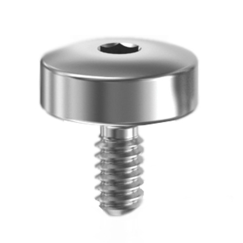 LCN 4820-31-AL Door Closer part Cover Screw For 4820 in Aluminum Finish