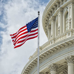 Military & Government