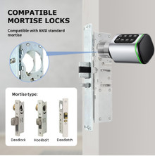 Smart Mortise Cylinder WiFi M401W-P Lock