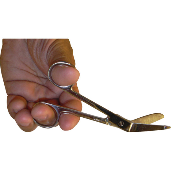 5 3/4" Stainless Steel Scissors