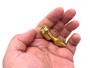 Brass Hose Swivel for Sprayer Body to Hose