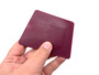 ProToolsNow 4" Merlot Hard Card