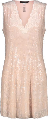 Sequin and Lace Mini Dress
