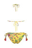 Floral Triangle Bikini Lace Embroidery and Regular Briefs - FLGI