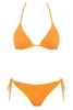 Triangle Bikini with Rhinestone Net and Regular Slip - FAAR