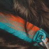 Ruffwear Front Range™ Collar, imageset:Spring Fade
