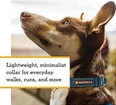 RUFFWEAR Hi & Light Dog Collar Ruffwear