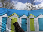 Pre-Loved Beach Huts 4 Pole Compact Windbreak (Steel Poles)