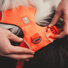 Front Range® Harness Ruffwear