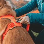 Front Range® Harness Ruffwear