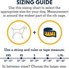 Flagline™ Harness Ruffwear