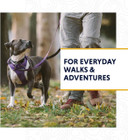 Front Range™ Leash Ruffwear