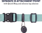 RUFFWEAR Hi & Light Dog Collar Ruffwear
