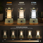 Retro Dimmable Lantern - Sage Green OLPRO