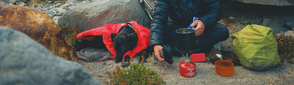 Dogwear